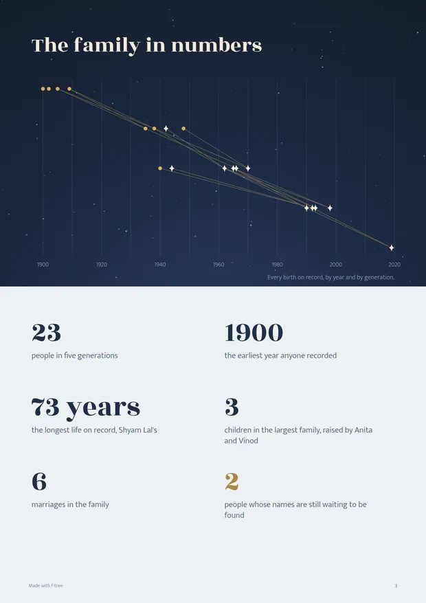 The book's 'family in numbers' page: a chart of births by year and generation, then facts including 23 people in five generations, the earliest year recorded, and how many marriages are in the family.